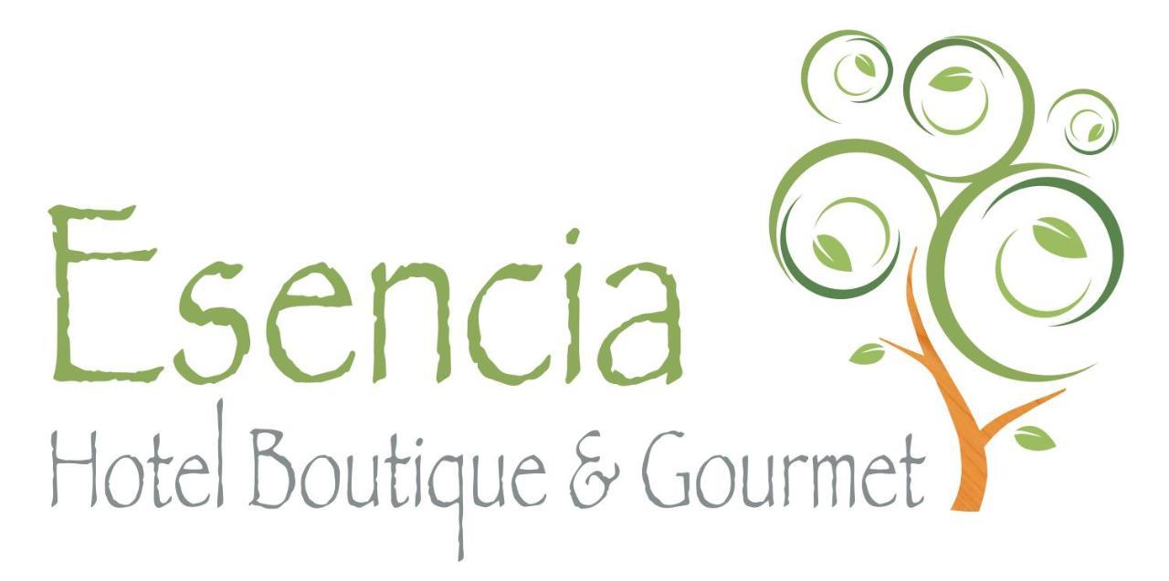 Esencia Hotel Boutique Він'я-дель-Мар Екстер'єр фото